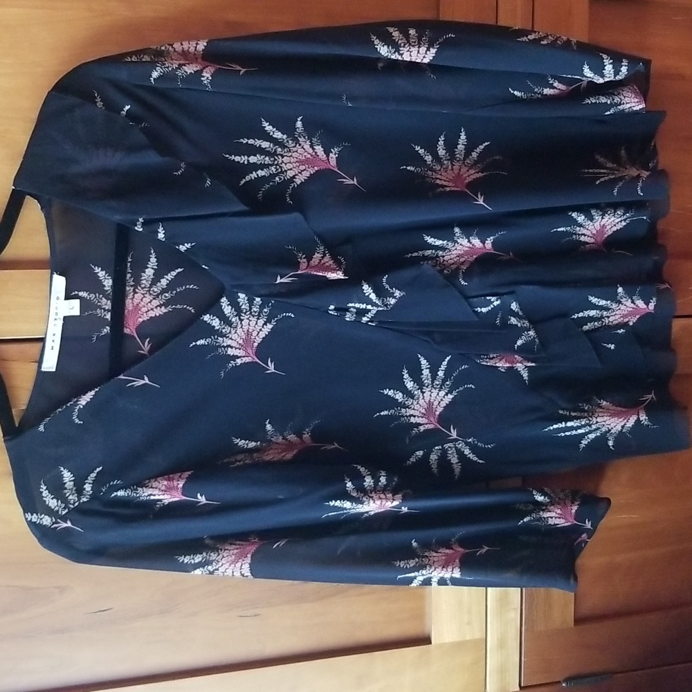 Max Studio silk, sheer pullover blouse, like new, size L